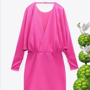 🌳🕊ZARA dress